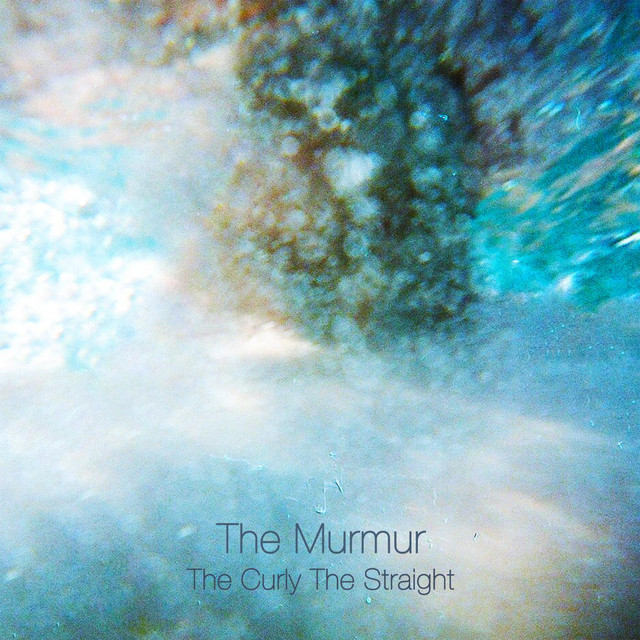 The Curly the Straight cover
