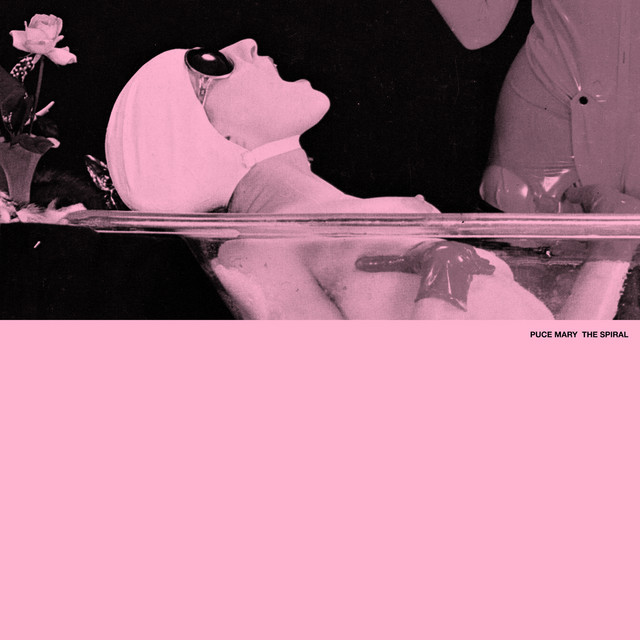 The Spiral cover art