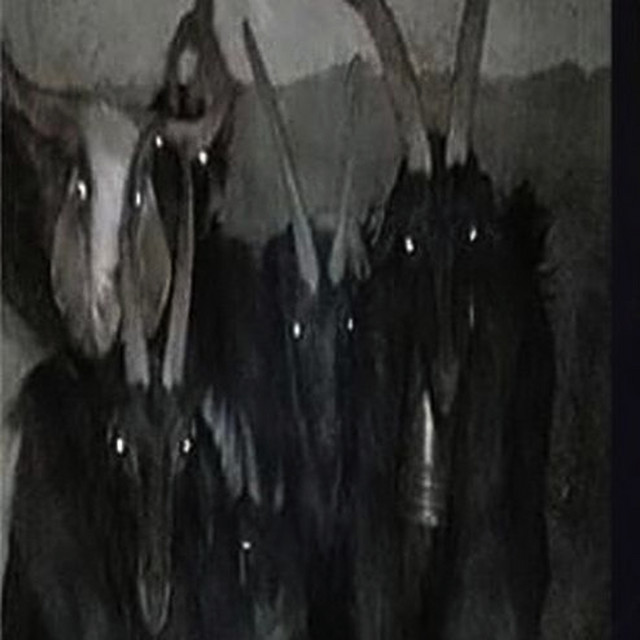 Eu Dei um Teco e Olhei pra Morte