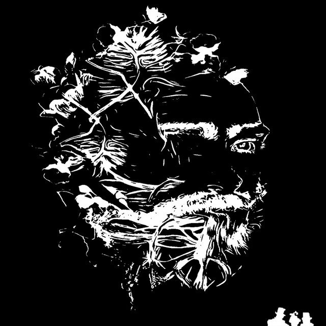 Flash album art