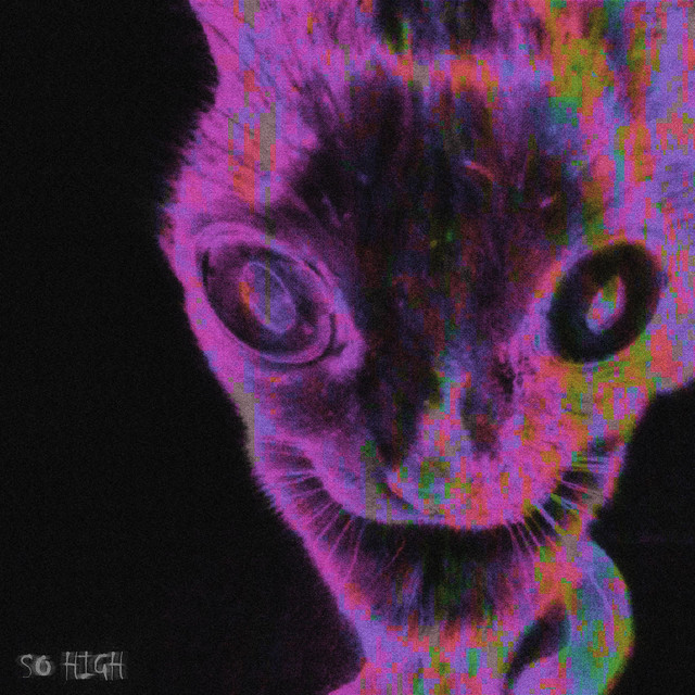 So High cover art