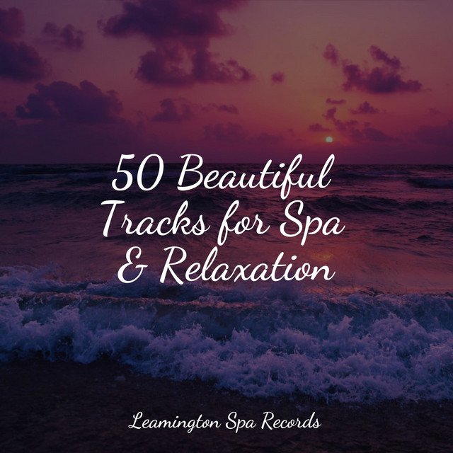 50 Beautiful Tracks for Spa & Relaxation - Album by Yoga Music | Spotify