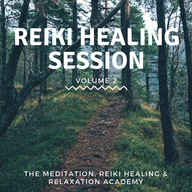 Reiki Healing Session, Vol. 2 cover art