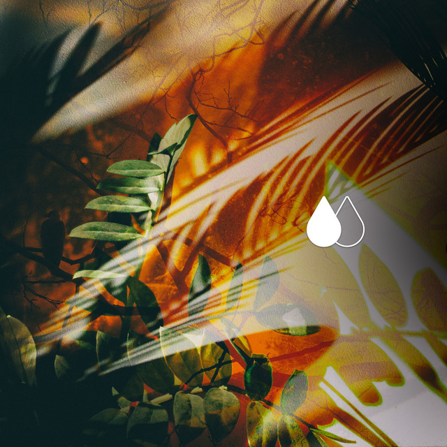Cosas Wenas cover art
