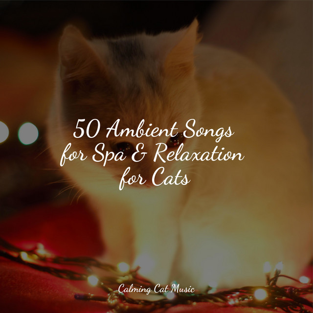 50 Ambient Songs for Spa & Relaxation for Cats cover art