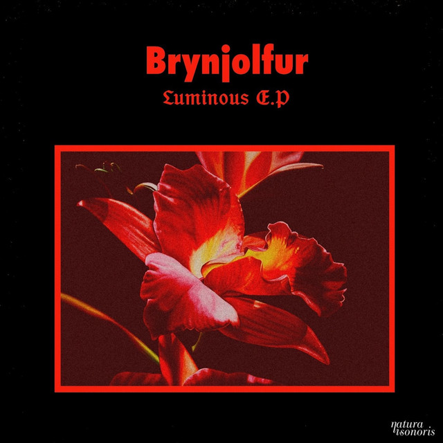 Luminous cover