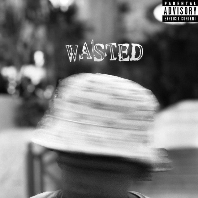 Wasted cover art