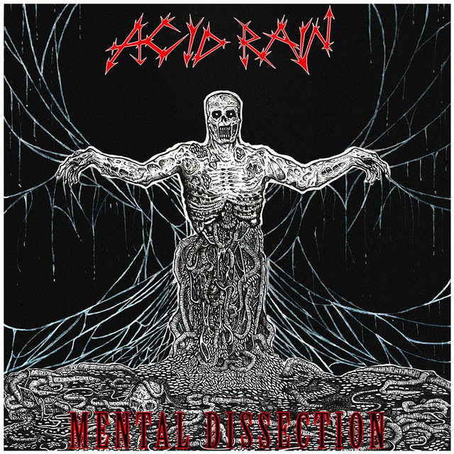 Mental Dissection cover art