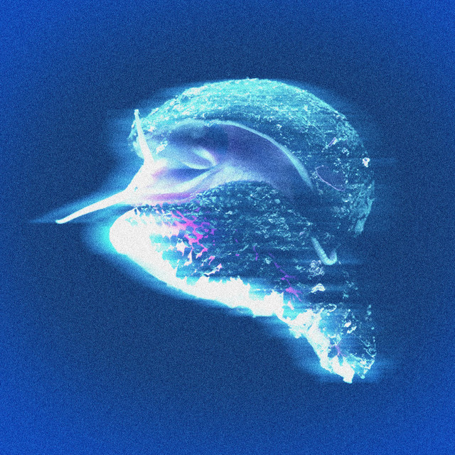 tired cover art