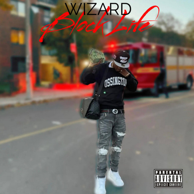 Block Life cover art