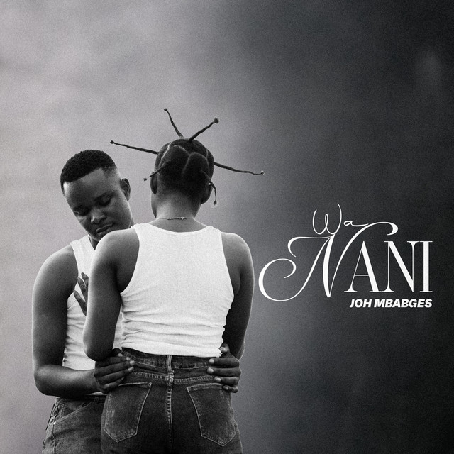 Wa Nani cover art