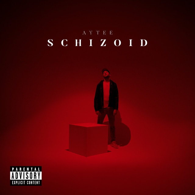 Schizoid cover art