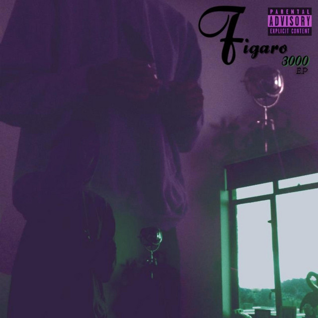 Figaro3000 cover art
