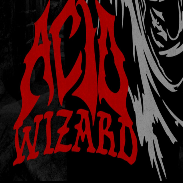 Acid Wizard Tx | Spotify
