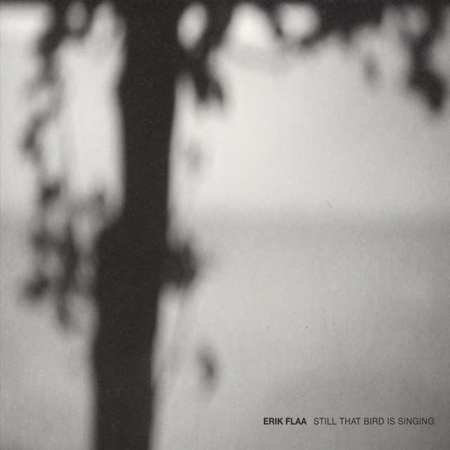 Still That Bird is Singing cover art