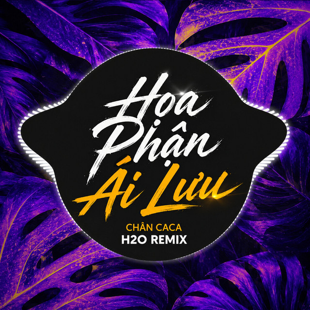 Họa Phận Ái Lưu (Remix) album image