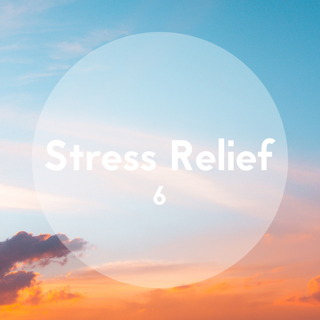 Stress Relief, Vol. 6 cover art