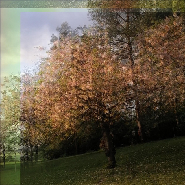 Whatever cover art
