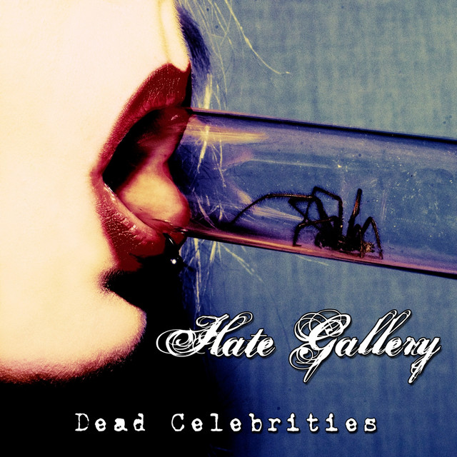 Hate Gallery Photo