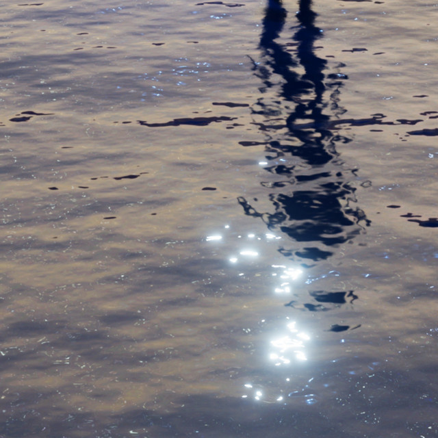 Turn Into Water cover art