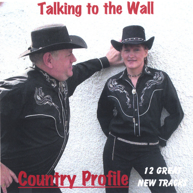 Talking To The Wall cover