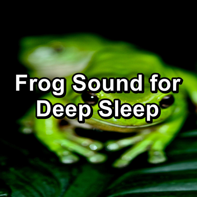 Frog Sounds