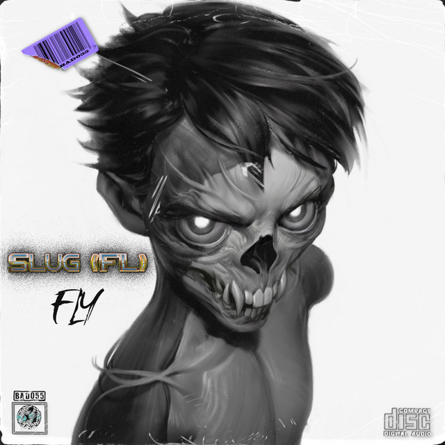 Fly cover art
