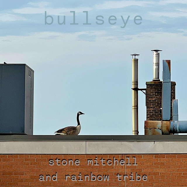 Album cover for Bullseye by Stone Mitchell and Rainbow Tribe