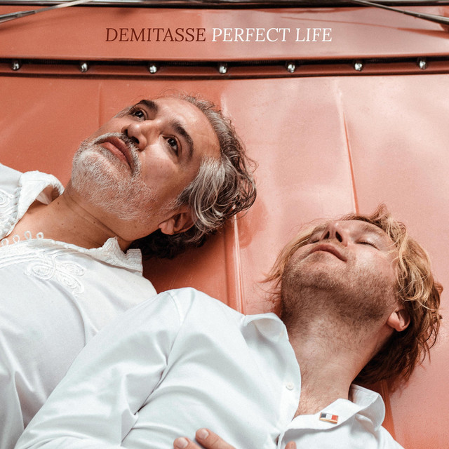Perfect Life cover art