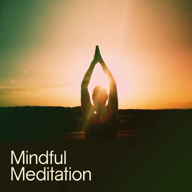 Mindful Meditation cover art
