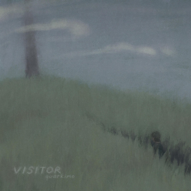 Visitor cover art