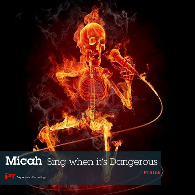 Sing When It's Dangerous cover art