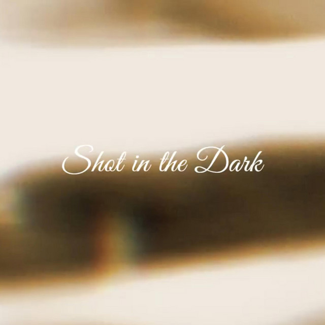Shot in the Dark cover