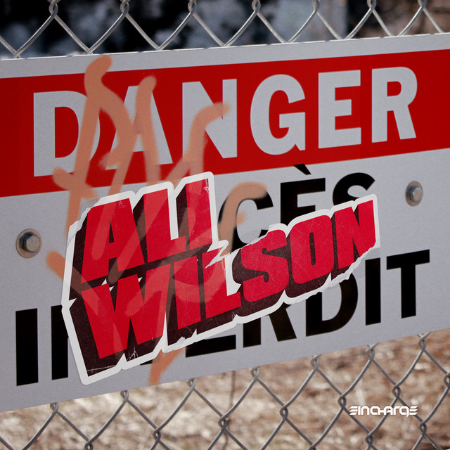 Danger cover art