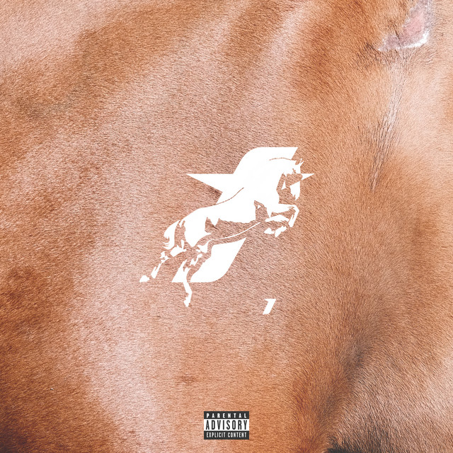 taycan v1 cover art