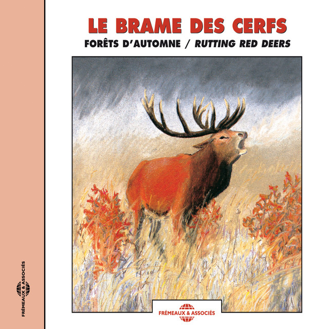 Le Brame Des Cerfs