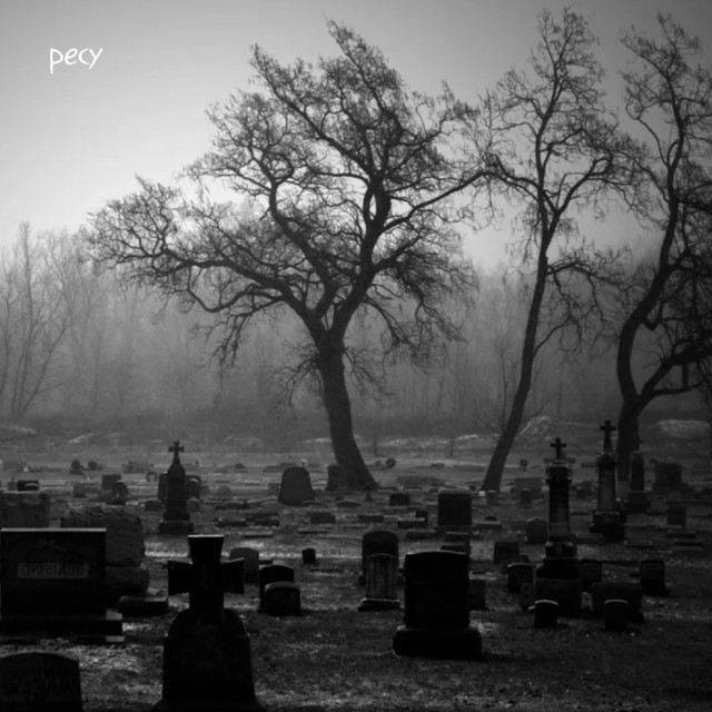 Final cover art