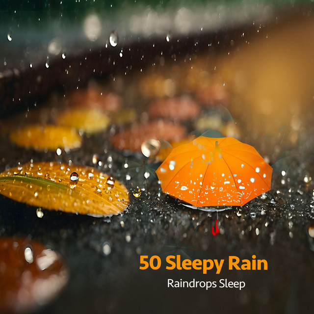 50 Sleepy Rain - Album by Raindrops Sleep | Spotify