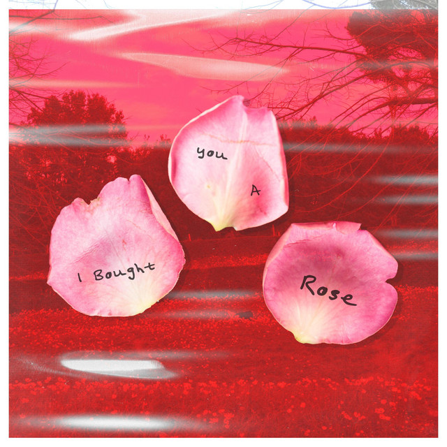 I Bought You a Rose
