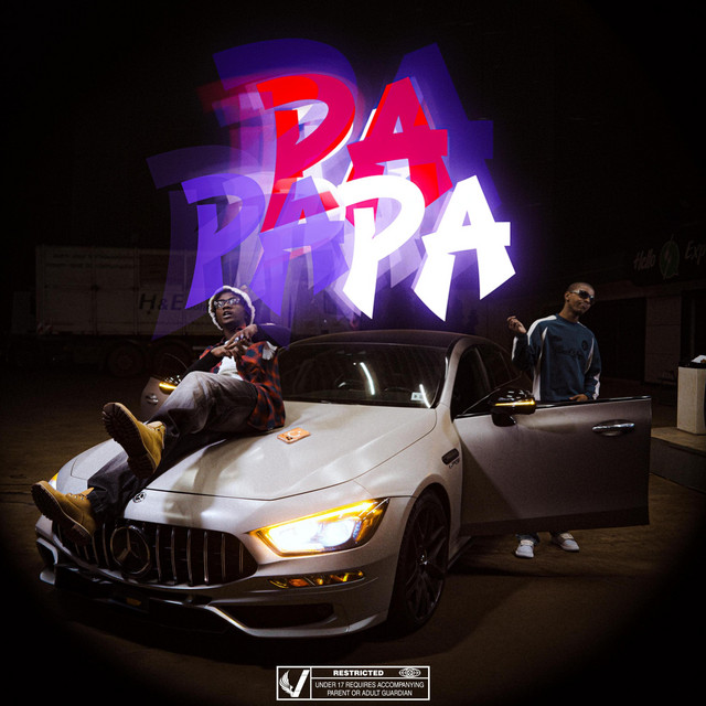 nattin_pa.pa.pa 様 PA PA PA - Single by 2DS | Spotify
