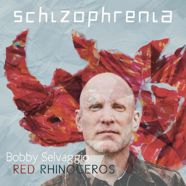 Schizophrenia cover art