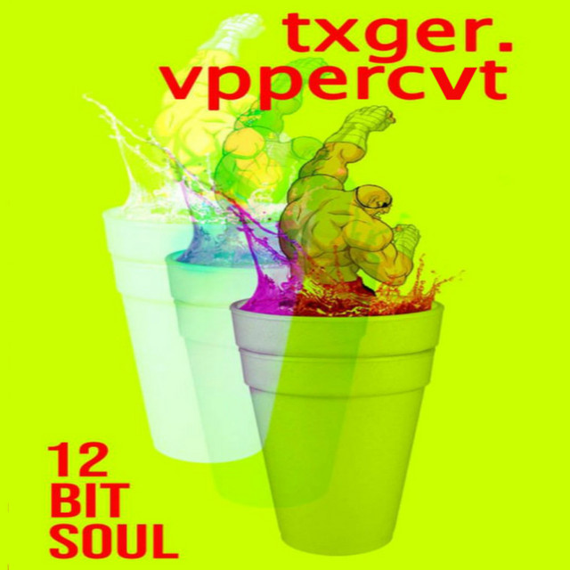 12 Bit Soul cover art