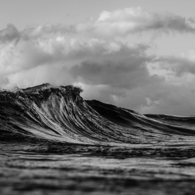 Ocean cover art