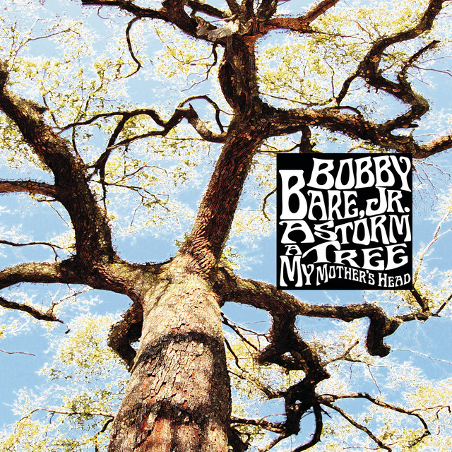A Storm - A Tree - My Mother's Head cover art