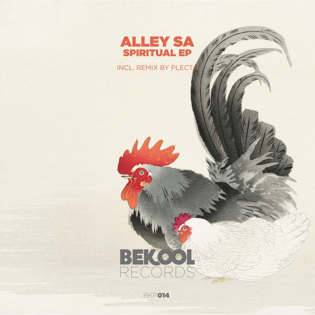 Spiritual - Plecta Remix album art
