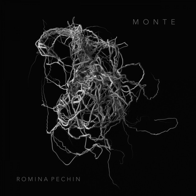 Monte cover art