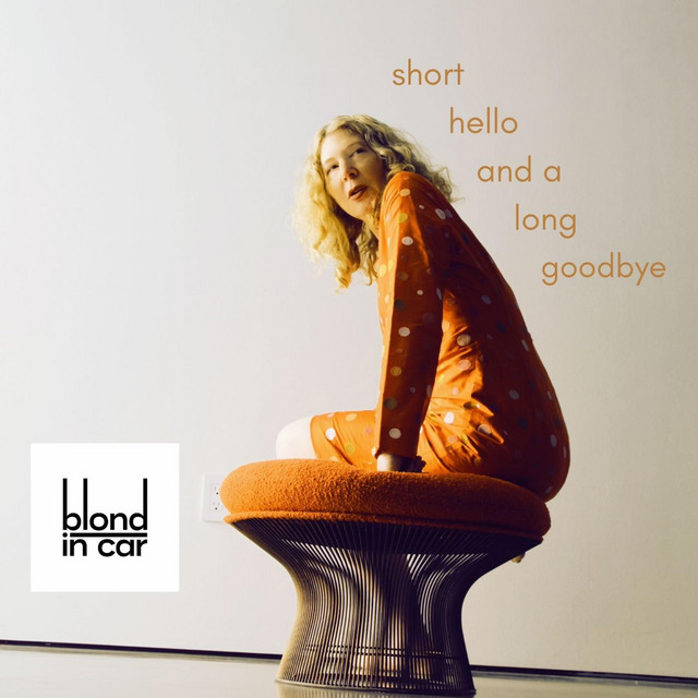 Short Hello and a Long Goodbye cover art