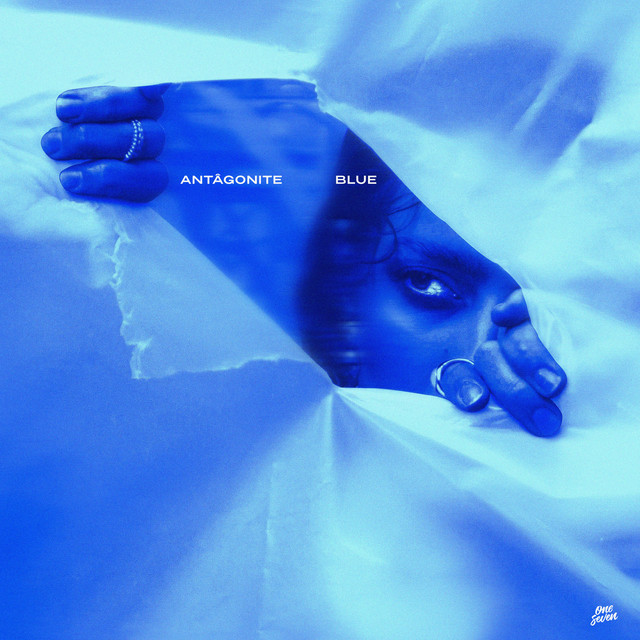 antâgonite - blue cover
