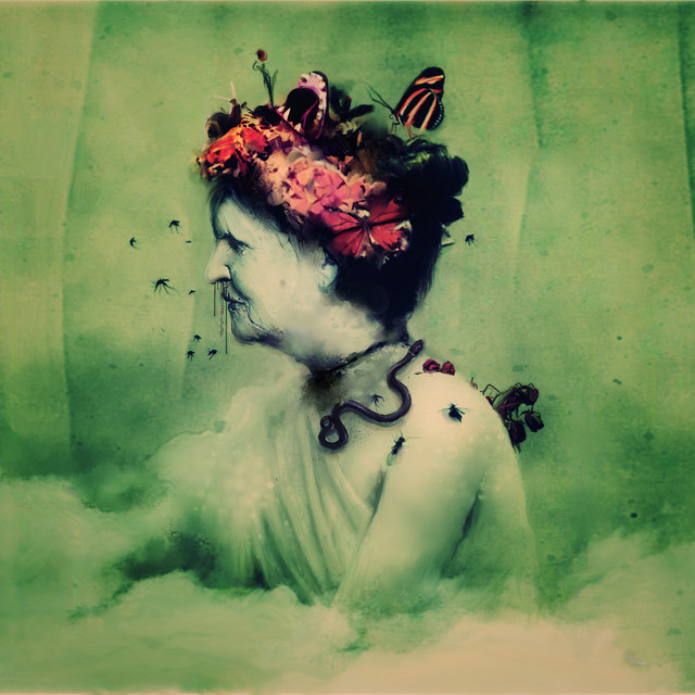 Empress Rising cover art