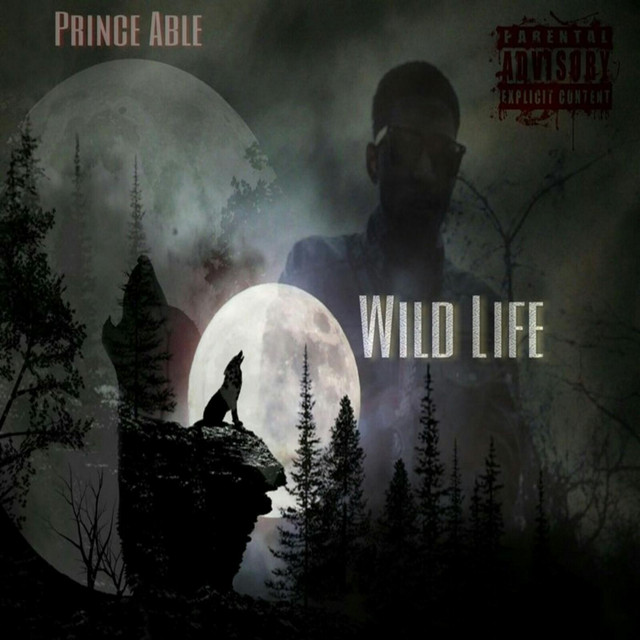 Wild Life - Single by Prince Able | Spotify